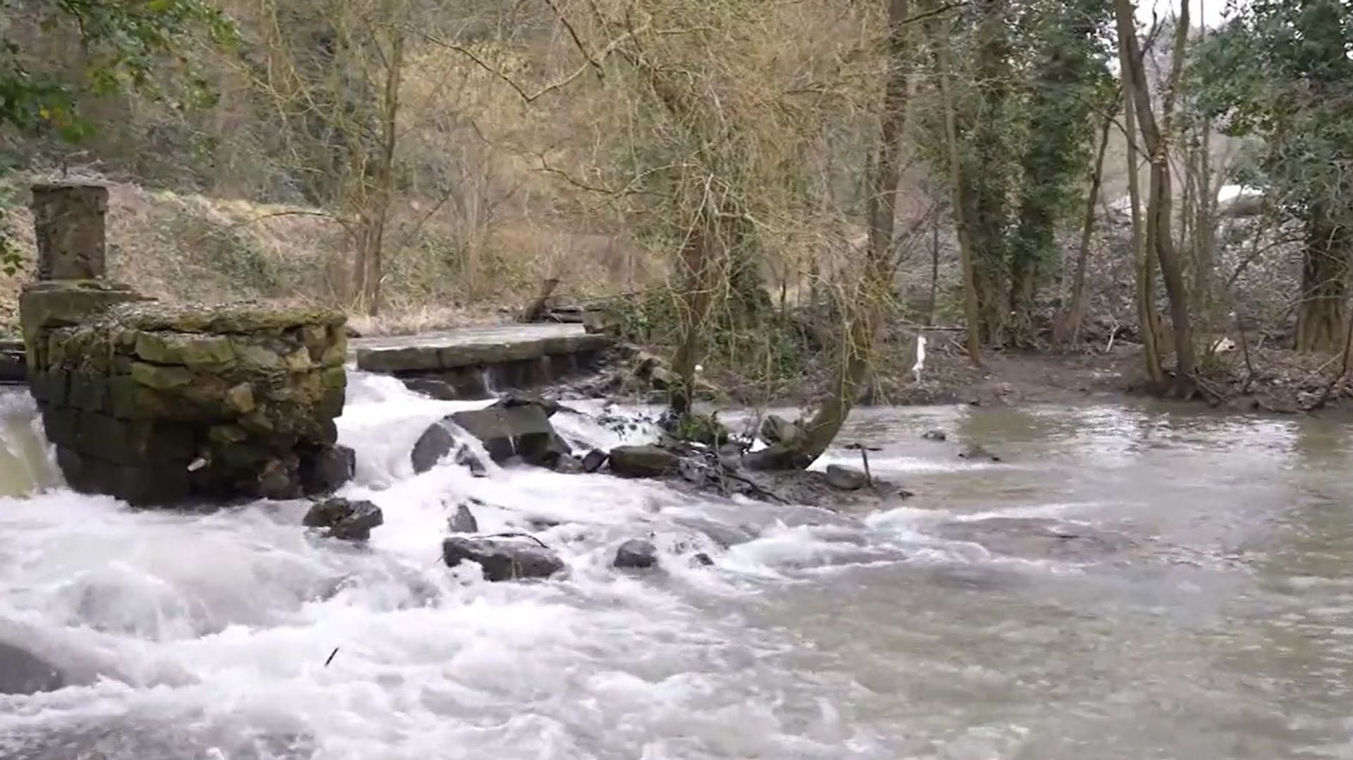 La Mehaigne, la rivière la plus polluée de Belgique, vraiment ? - RTBF Actus