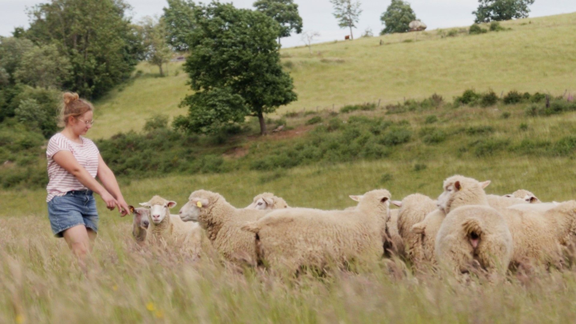 Agricultrices : semer l'égalité dans un monde agricole wallon encore trop inégalitaire