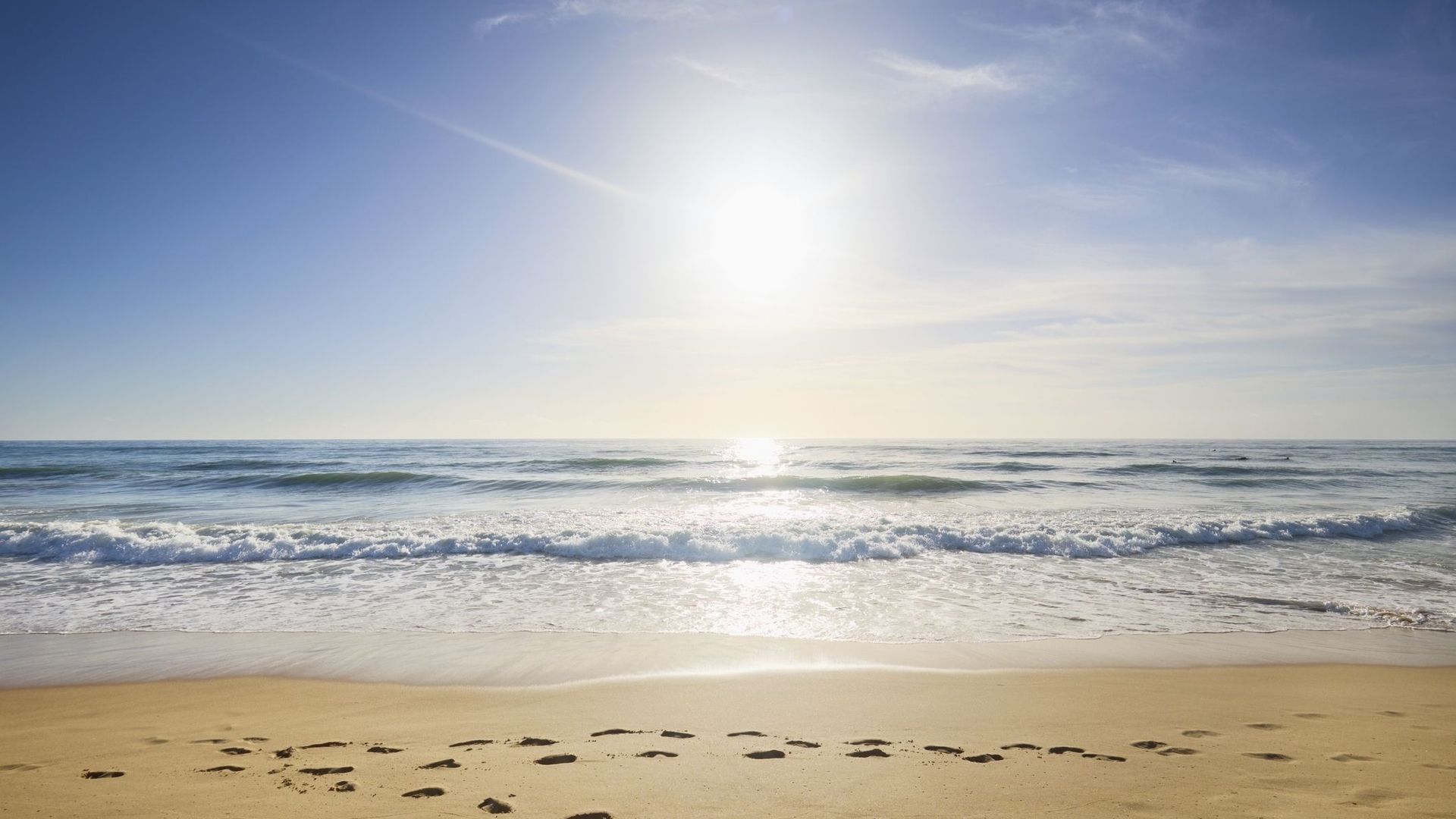 Jamais les mers n’avaient été aussi chaudes : un record de température battu ce 22 août