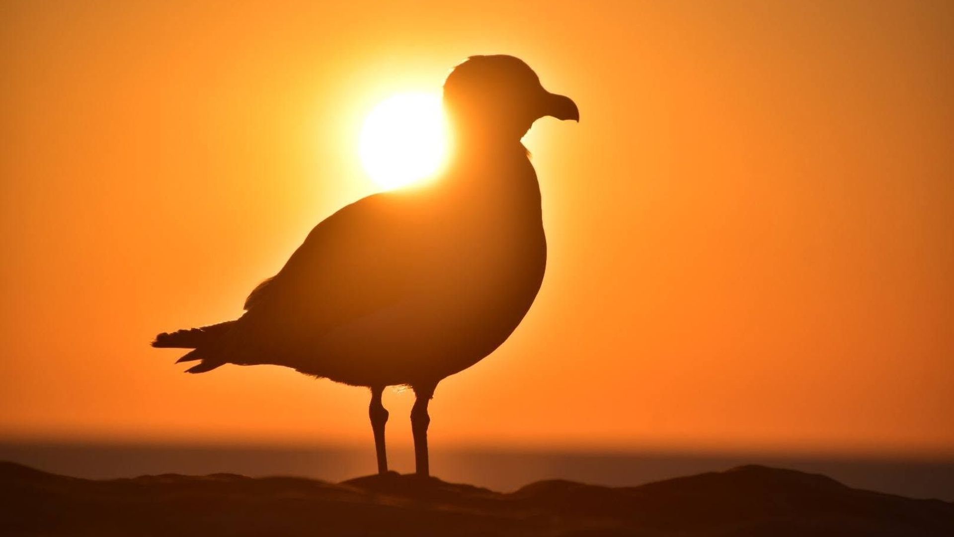 Météo en Belgique : soleil et ciel bleu tout le week-end