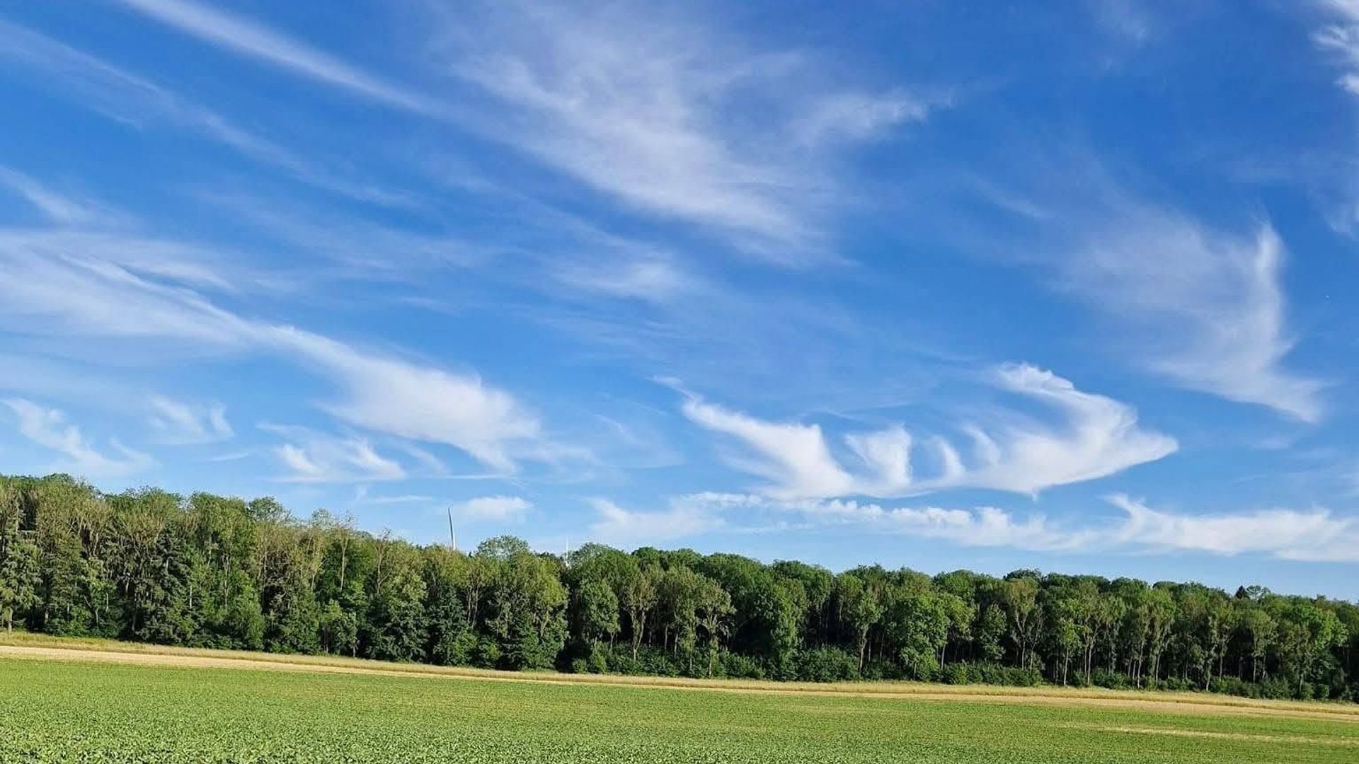 Météo en Belgique : un peu de pluie le matin, soleil généreux ensuite
