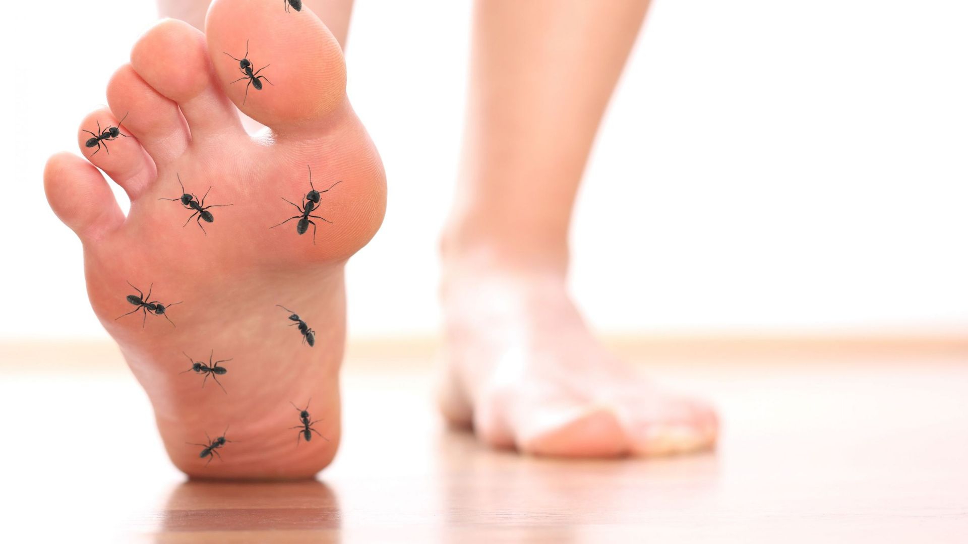 Paresthsie : que faire quand on a des picotements dans les pieds et  quoi  est-ce d ? - RTBF Actus
