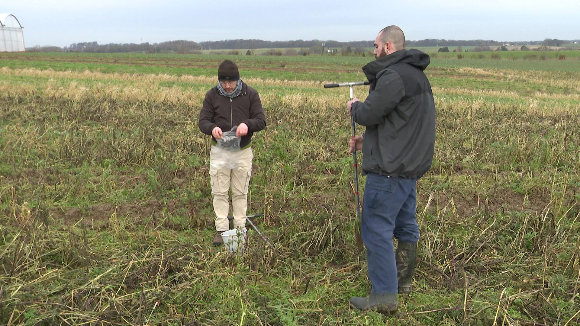 78% des sols agricoles wallons contaminés aux insecticides, les terrains non traités ne sont pas épargnés – RTBF Actus