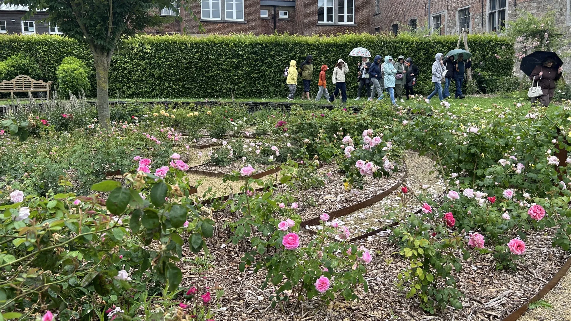 Jardins des roses du Roeulx : 'Les nouvelles roses doivent être ...