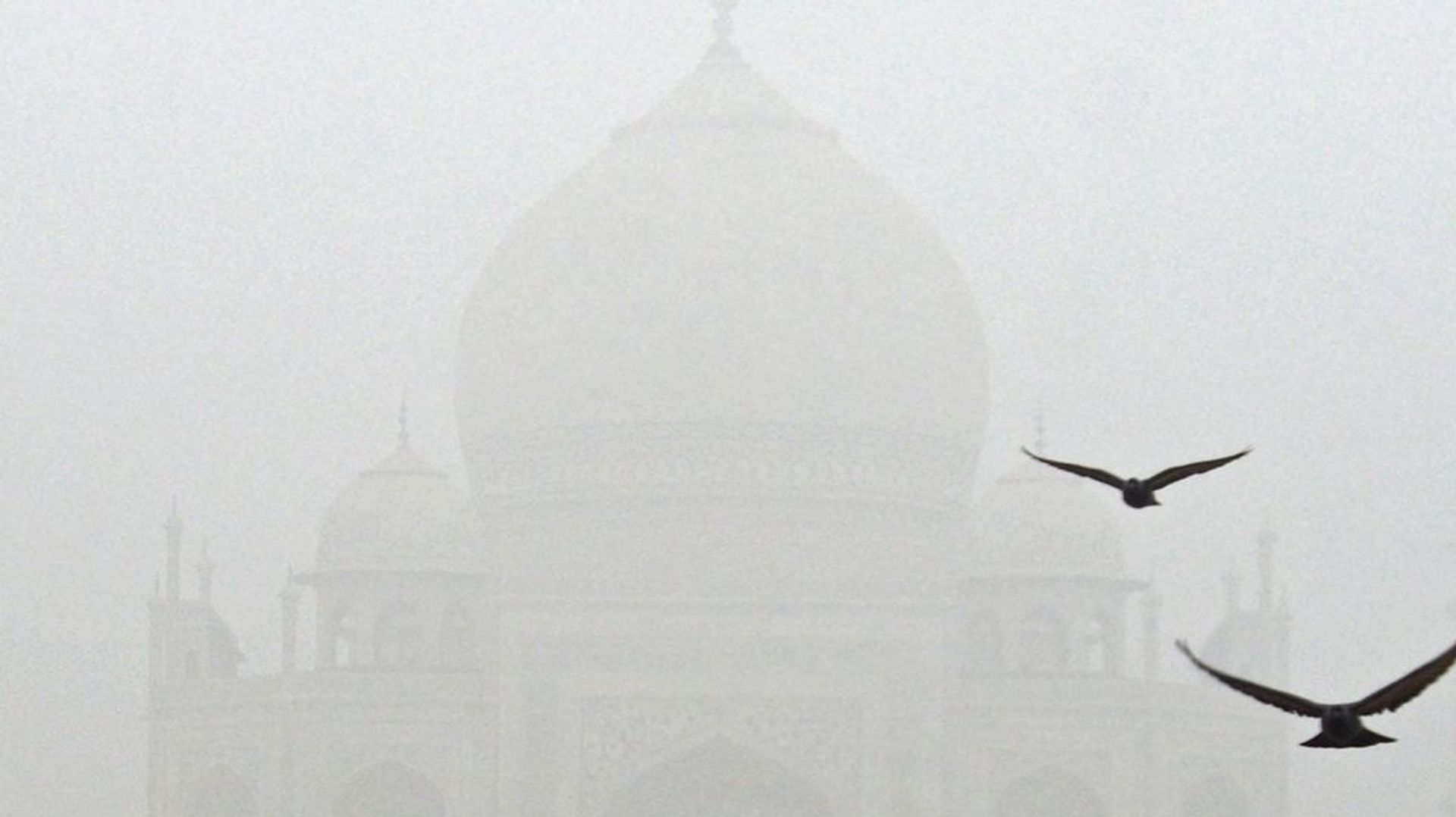 Pollution extrême en Asie du Sud : quand les pratiques agricoles brouillent les observations satellites