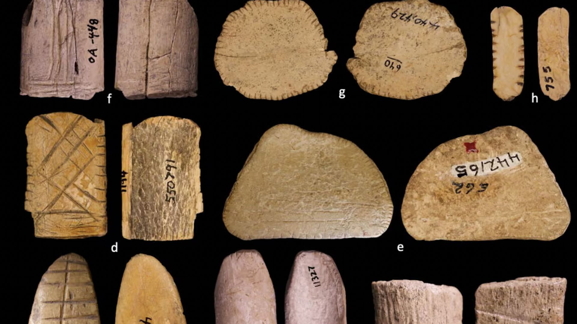 Des archéologues ont découvert des dés vieux de 12.000 ans : voici ce qu’ils nous apprennent sur l’histoire du jeu