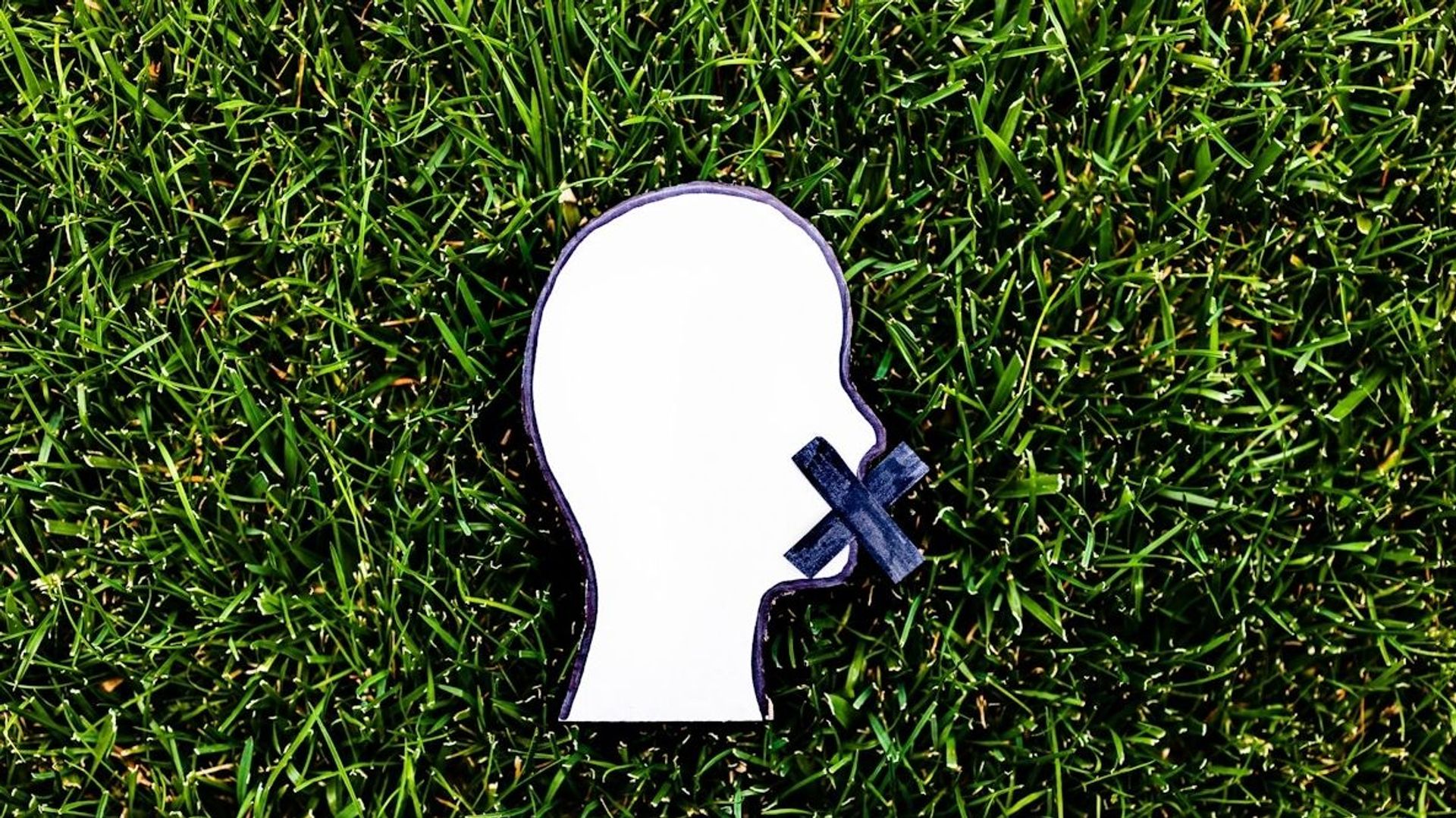 Après le "greenwashing", le "greenhushing" ?