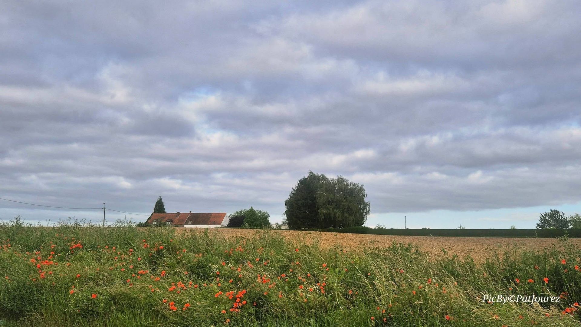 Météo en Belgique : temps calme ce matin avant le retour des averses cet après-midi