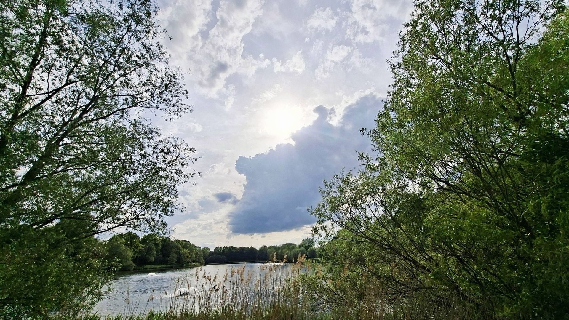 Météo en Belgique : des passages nuageux et des averses surtout cette après-midi