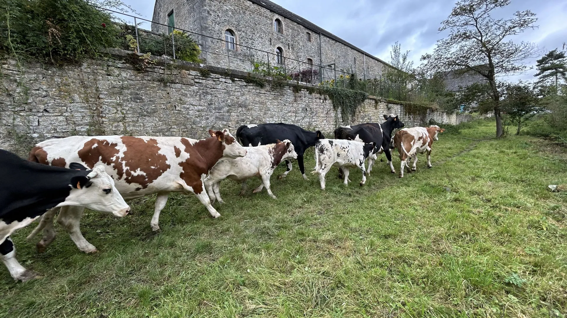 Beauraing : la ferme d’Esclaye réduit son empreinte carbone de 45% ...