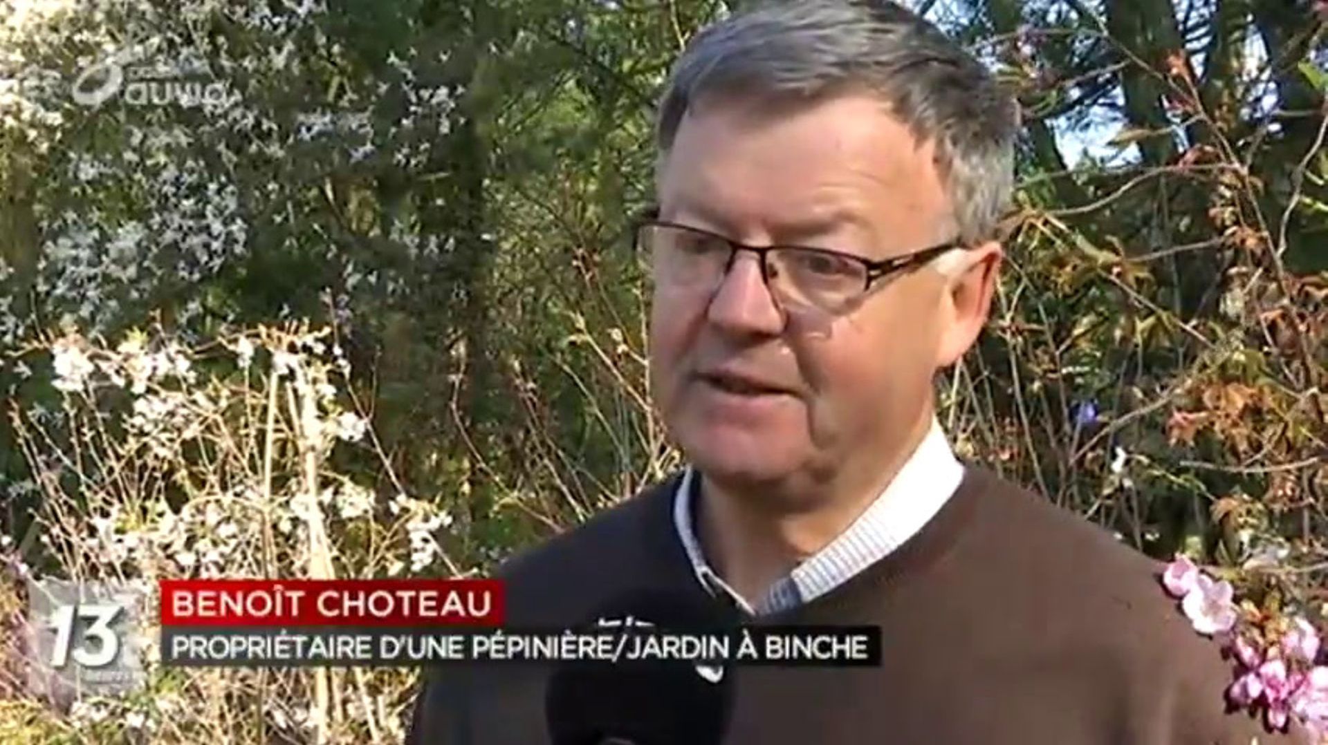 Binche : des dizaines de cerisiers en fleurs chez un spécialiste - RTBF Actus