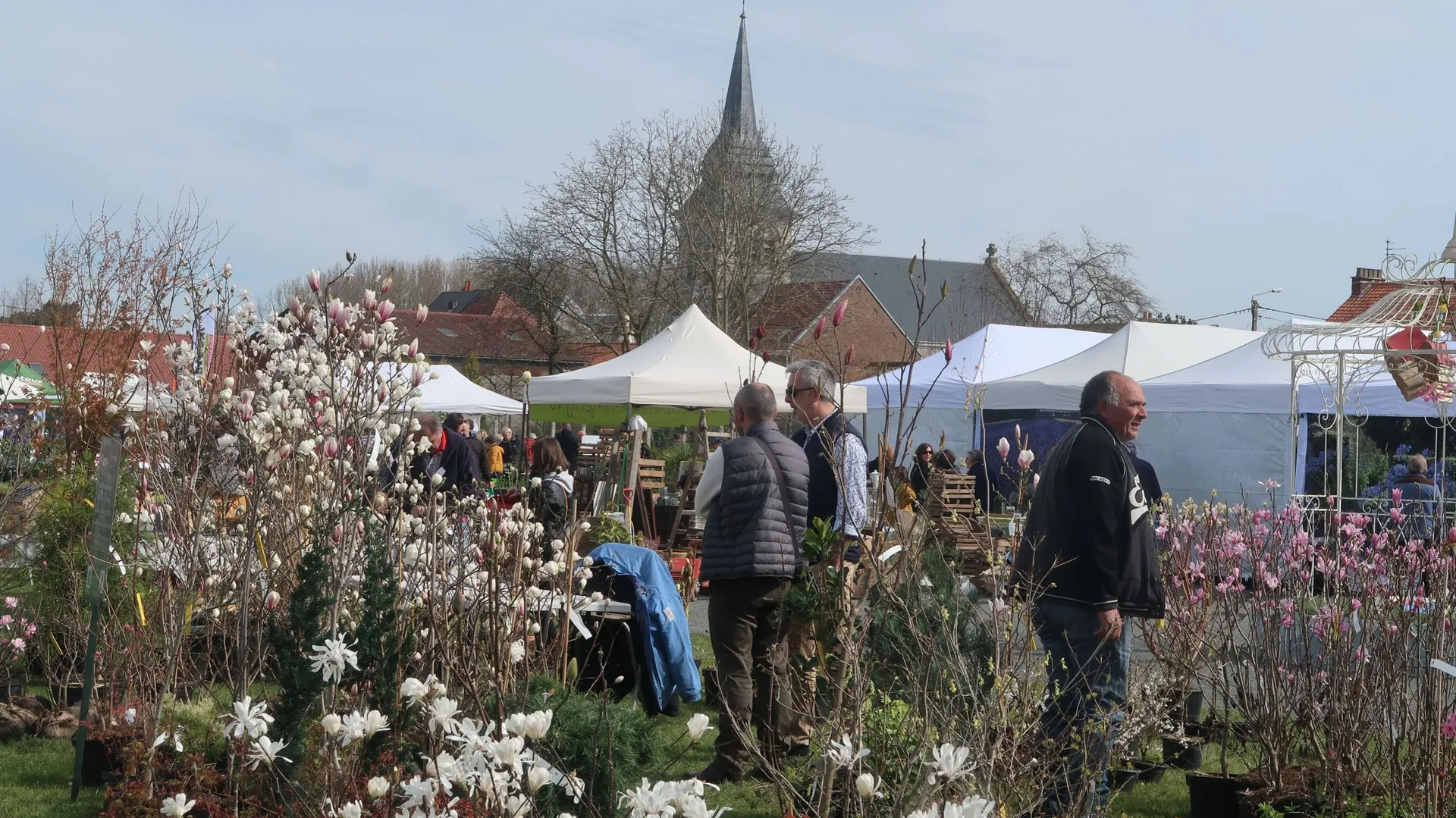 Sitemapcdatahttpssalymixel Thicoipeinfofete Des Plantes Locon 2023
