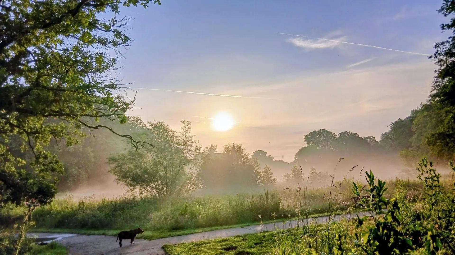 Météo en Belgique soleil et chaleur avant un risque d’orage en fin de — free download