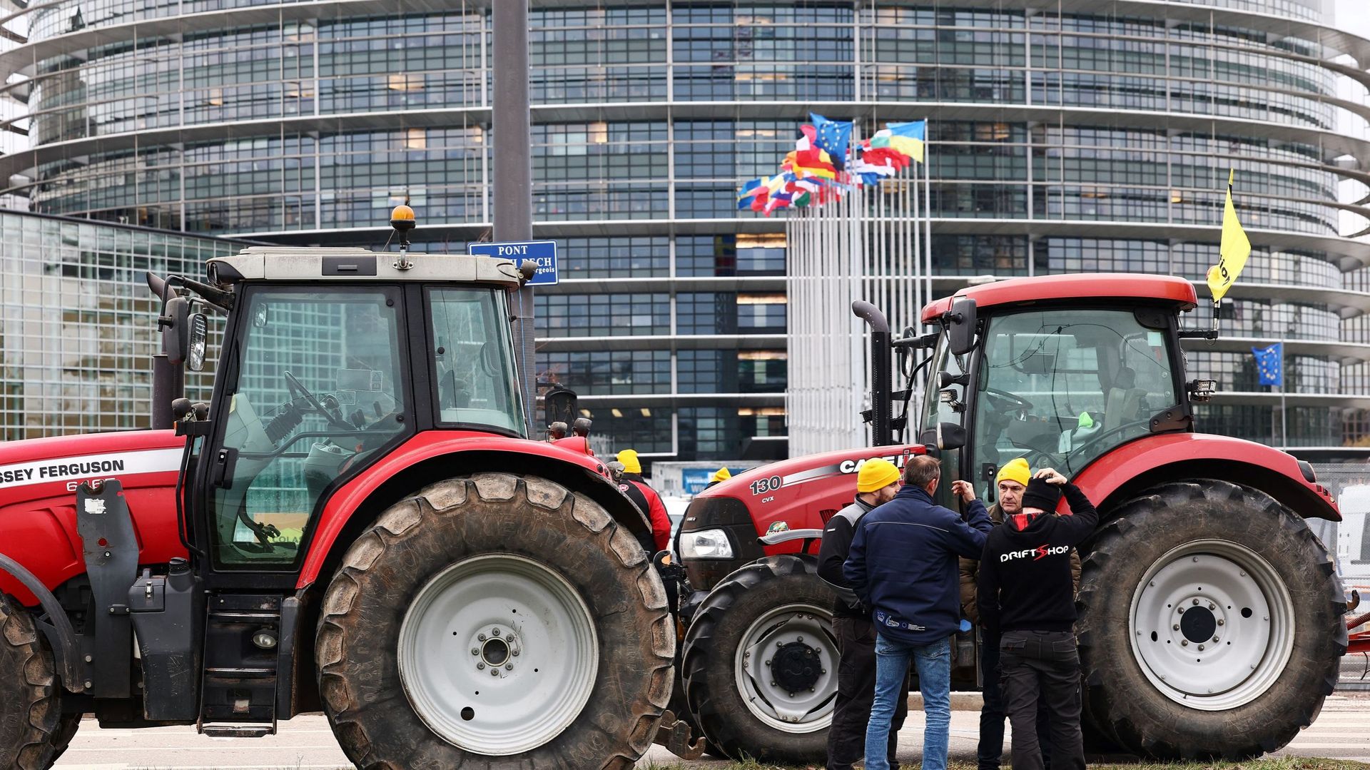 Les députés européens prêts à approuver les nouvelles techniques génomiques (NTG), une nouvelle génération d'OGM