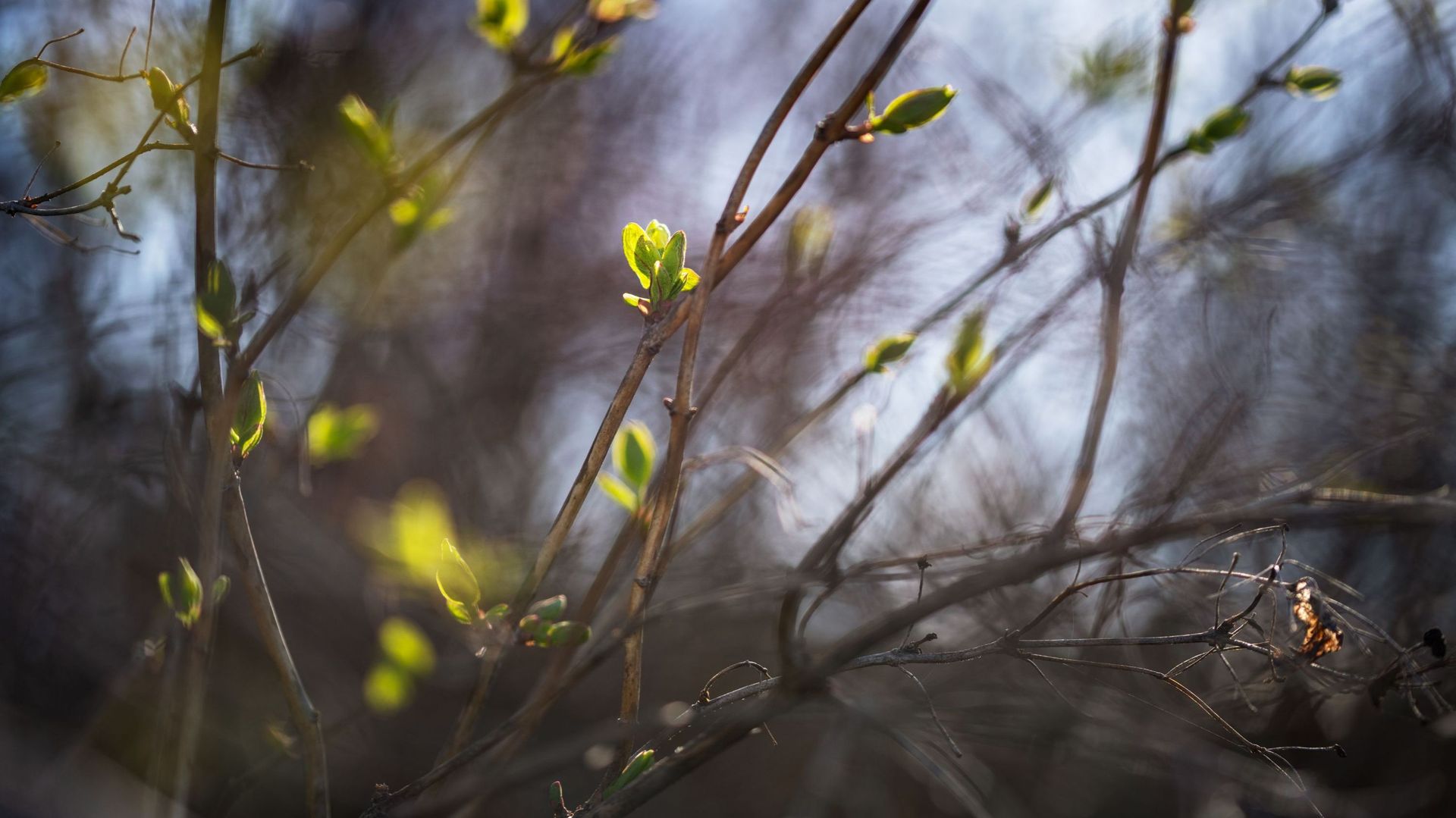 Le top des bonnes nouvelles de la semaine : 5 infos positives pour célébrer l’arrivée du printemps