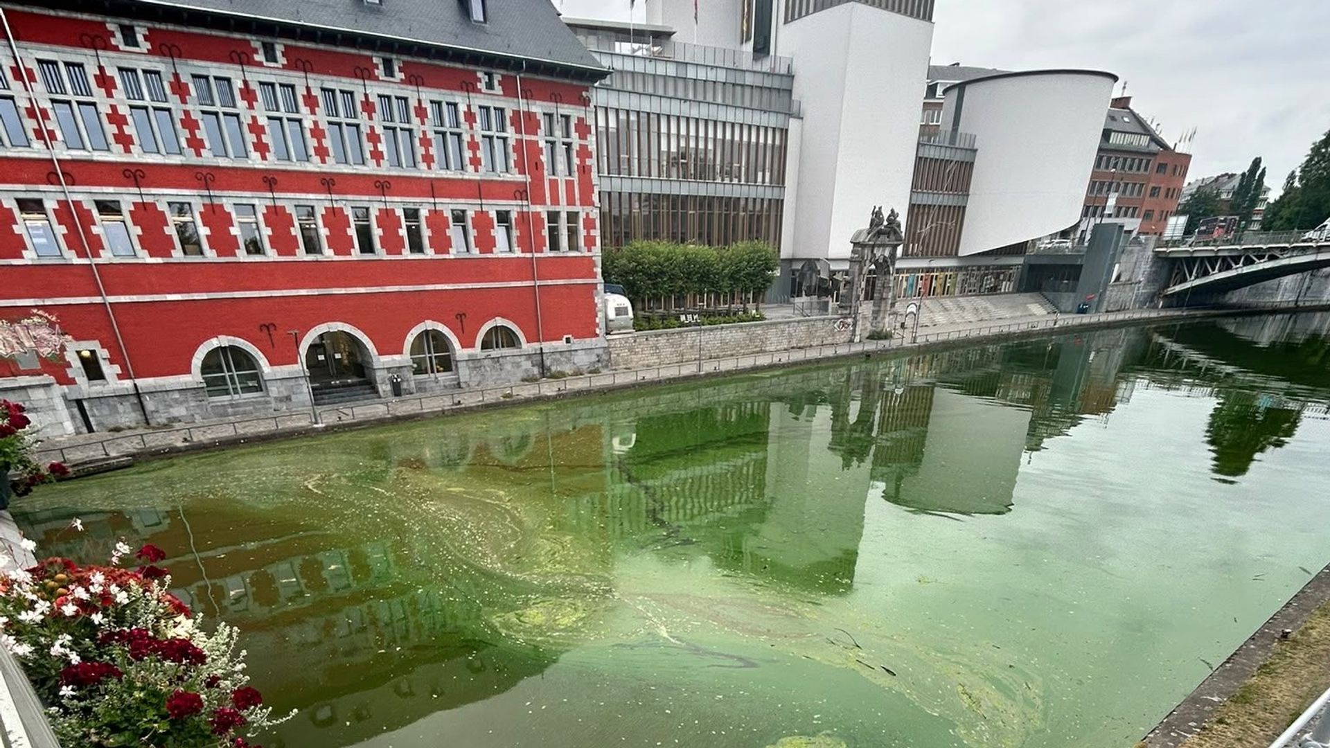 Namur : pourquoi la Sambre est-elle devenue vert fluo ?