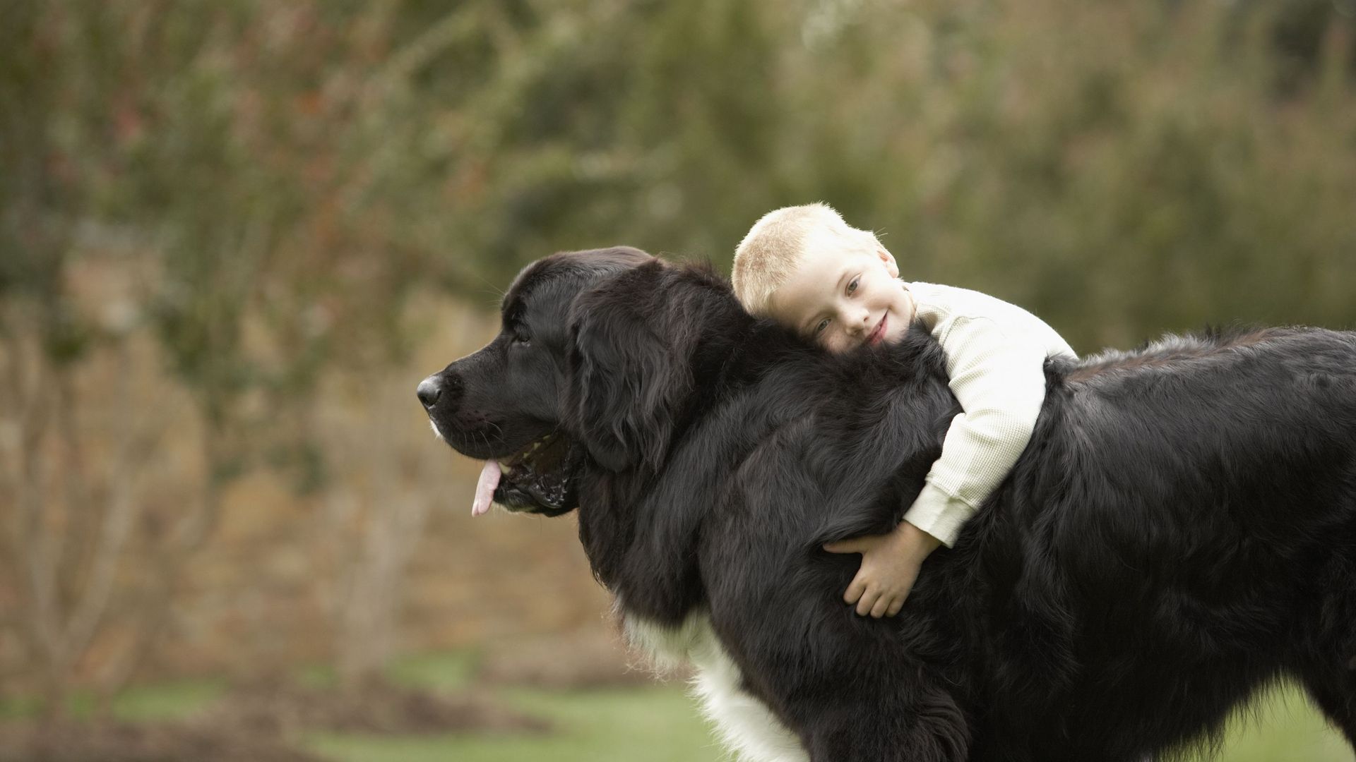 La minute historique : en 1908, ce chien s’amusait à pousser les enfants dans la Seine