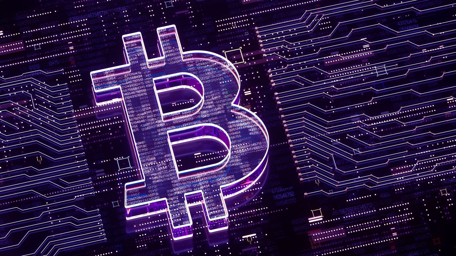 Tendances Première: Les Tribus