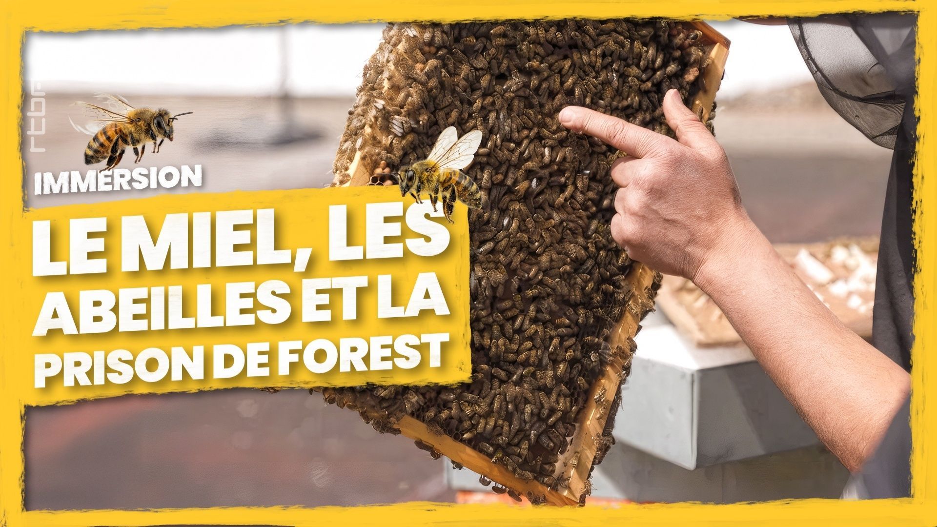 Apiculture en milieu carcéral : les leçons de vie d’Hafid et ses abeilles