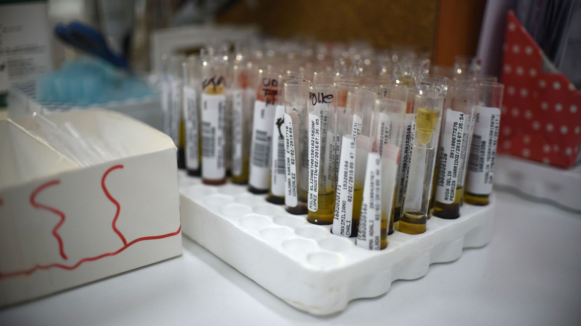 Un simple test sanguin plus efficace pour détecter des cancers et mieux ...