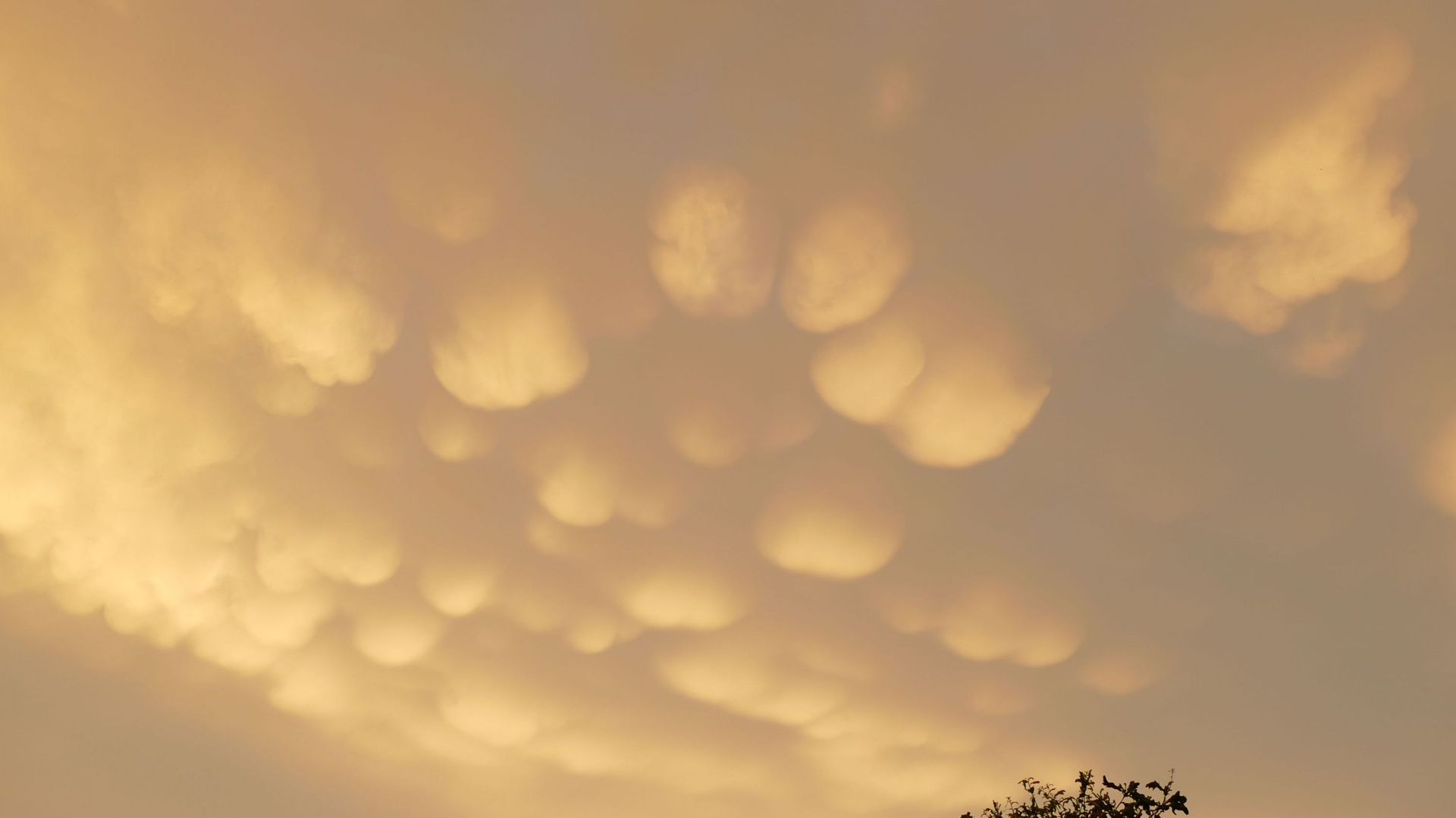 Des nuages 'comme des cotons d'ouate': un phénomène étonnant dans le ciel belge mercredi soir - RTBF Actus