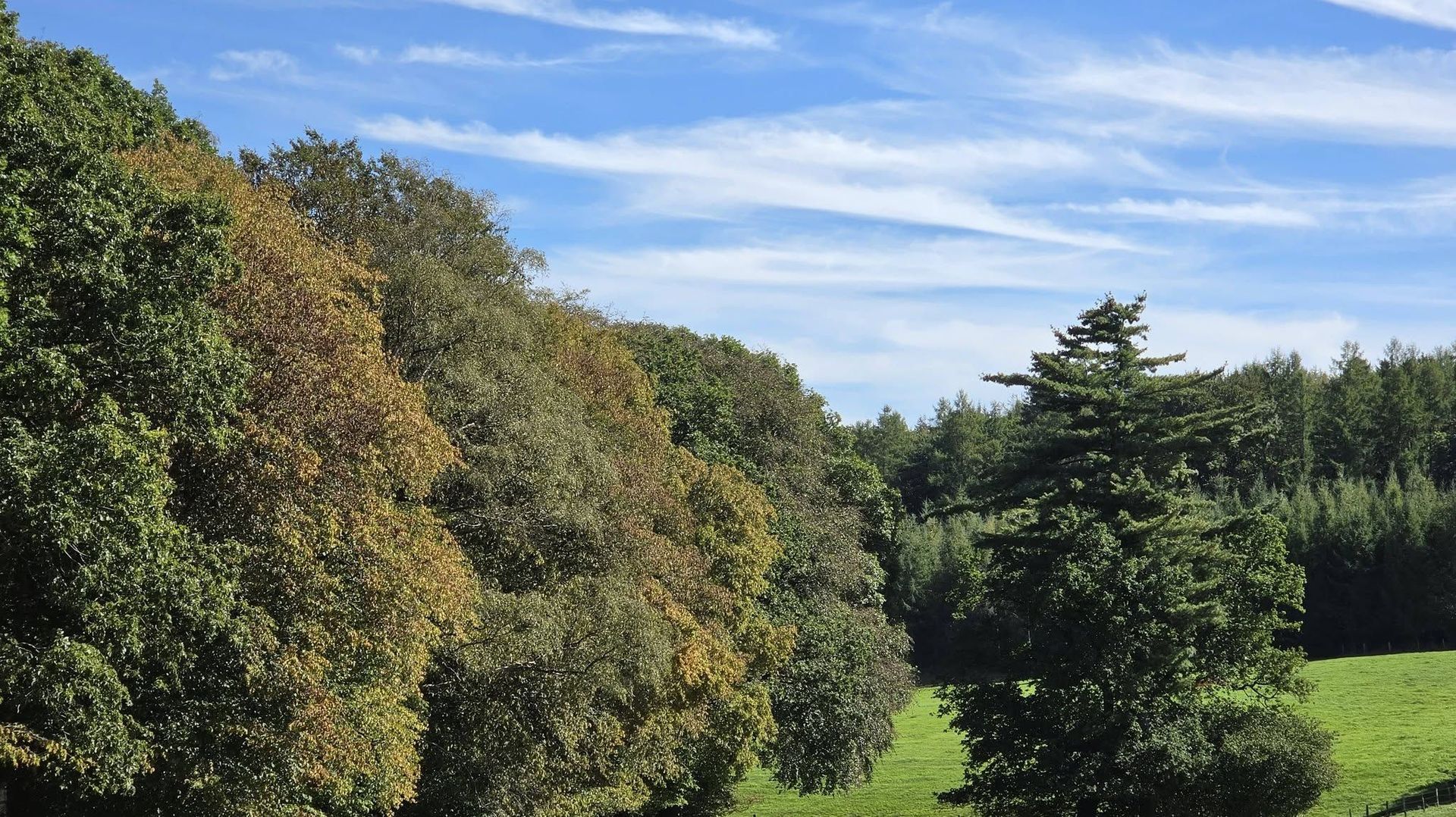 Météo en Belgique : un ciel plus nuageux que ces derniers jours mais un temps lumineux quand même pour ce jeudi