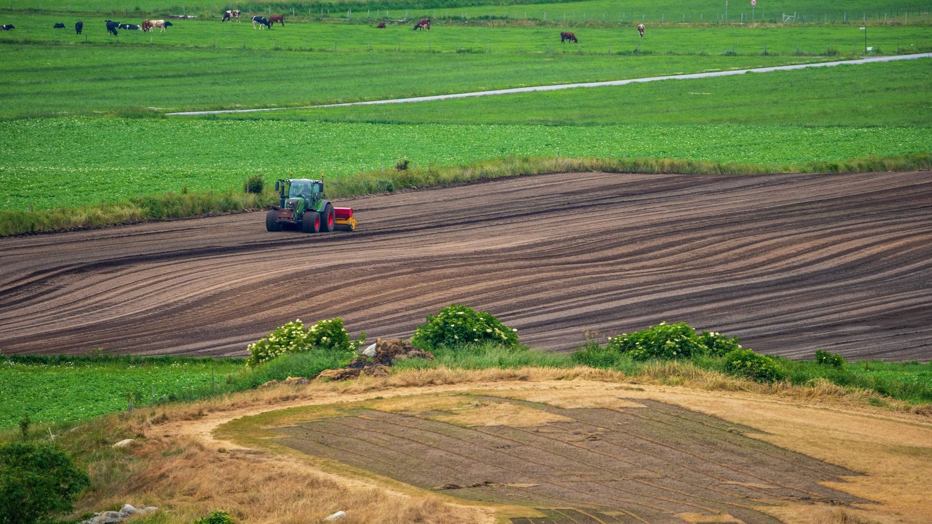En 2050, l’agriculture bio et locale pourrait nourrir l’Europe d’après la science - RTBF Actus