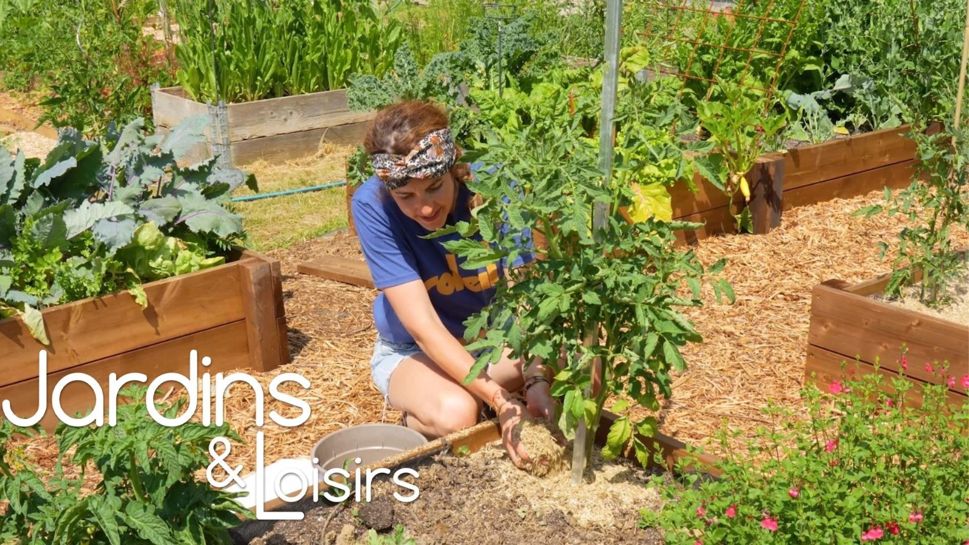 L'importance du paillage dans les parterres et au potager