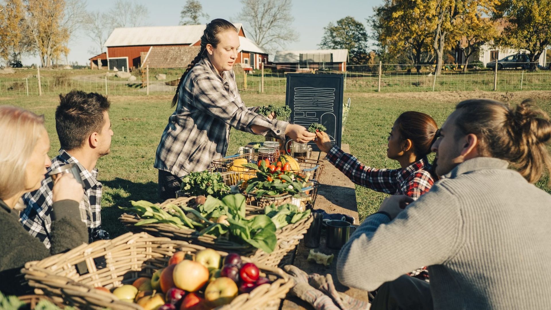 Comment les agriculteurs font-ils pour ne pas travailler à perte ?