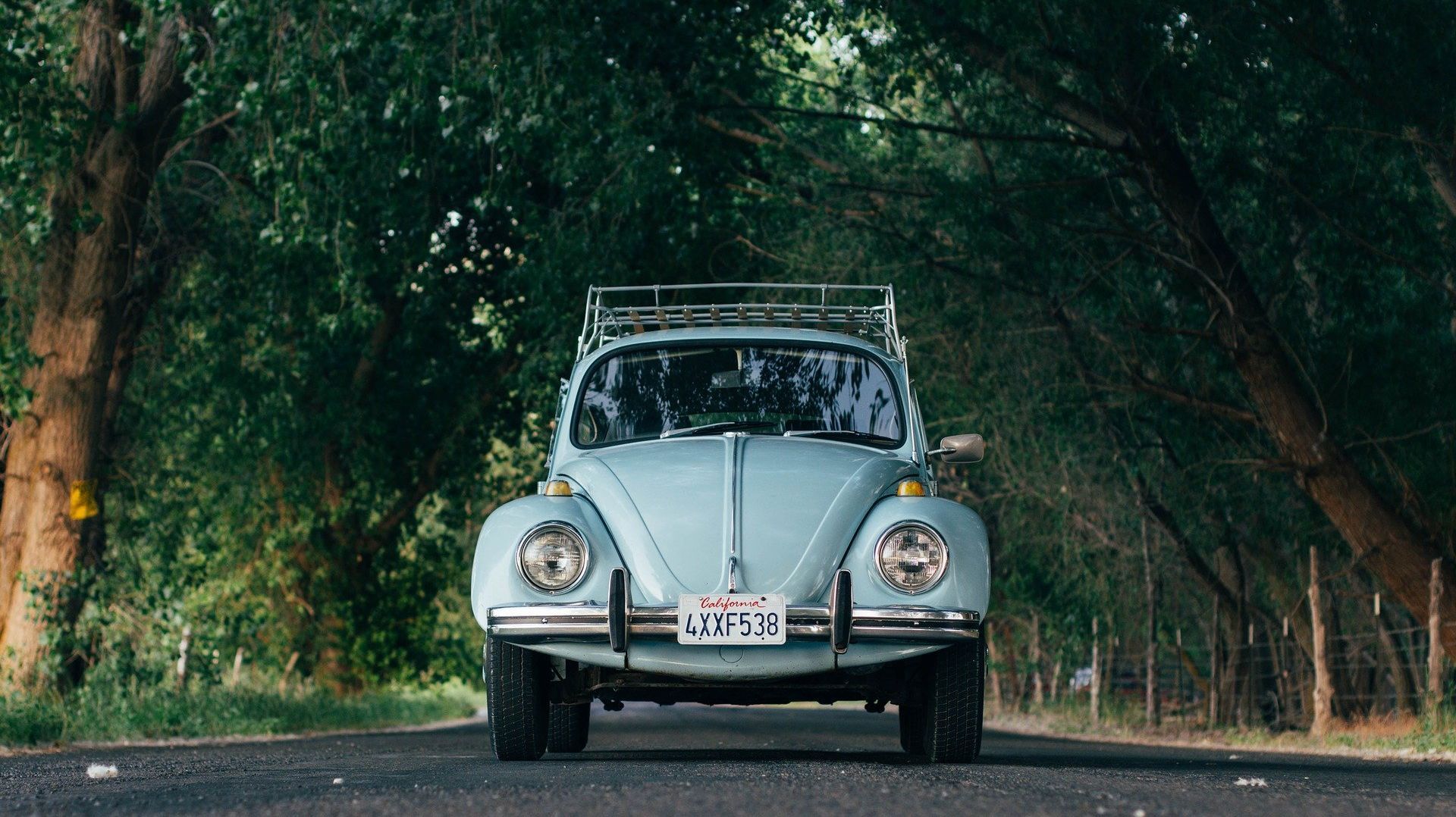 Focus sur : La Volkswagen Coccinelle, une actrice mondialement connue