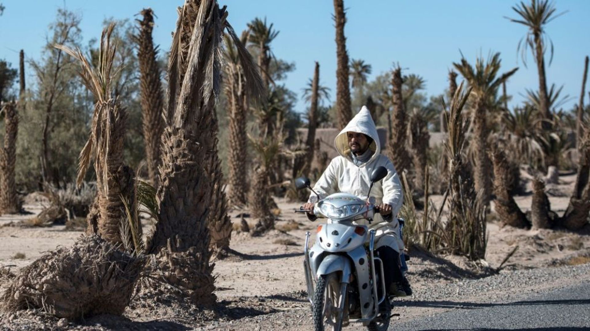 Maroc : une nouvelle vague de chaleur provoque la mort de 21 personnes ...