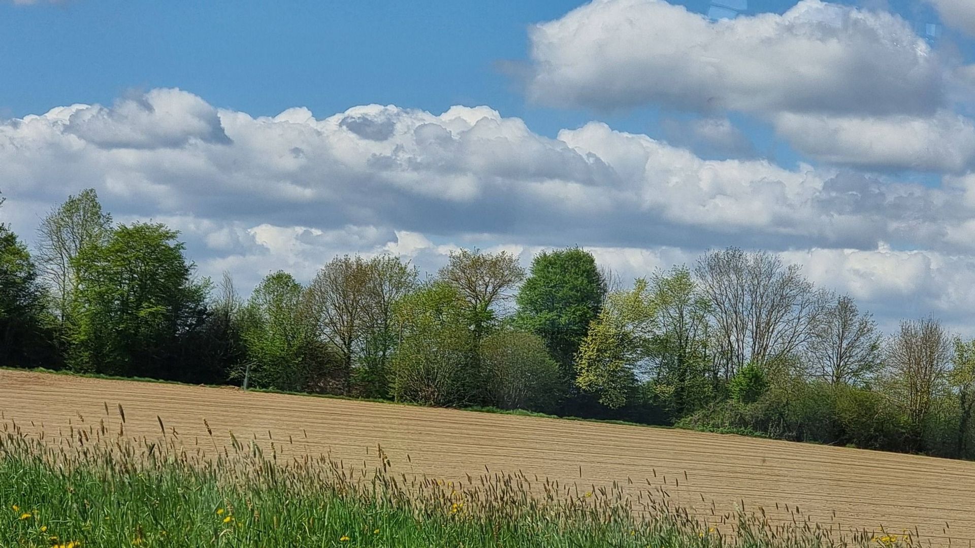 La météo en Belgique : le beau temps est au rendez-vous ce mercredi.