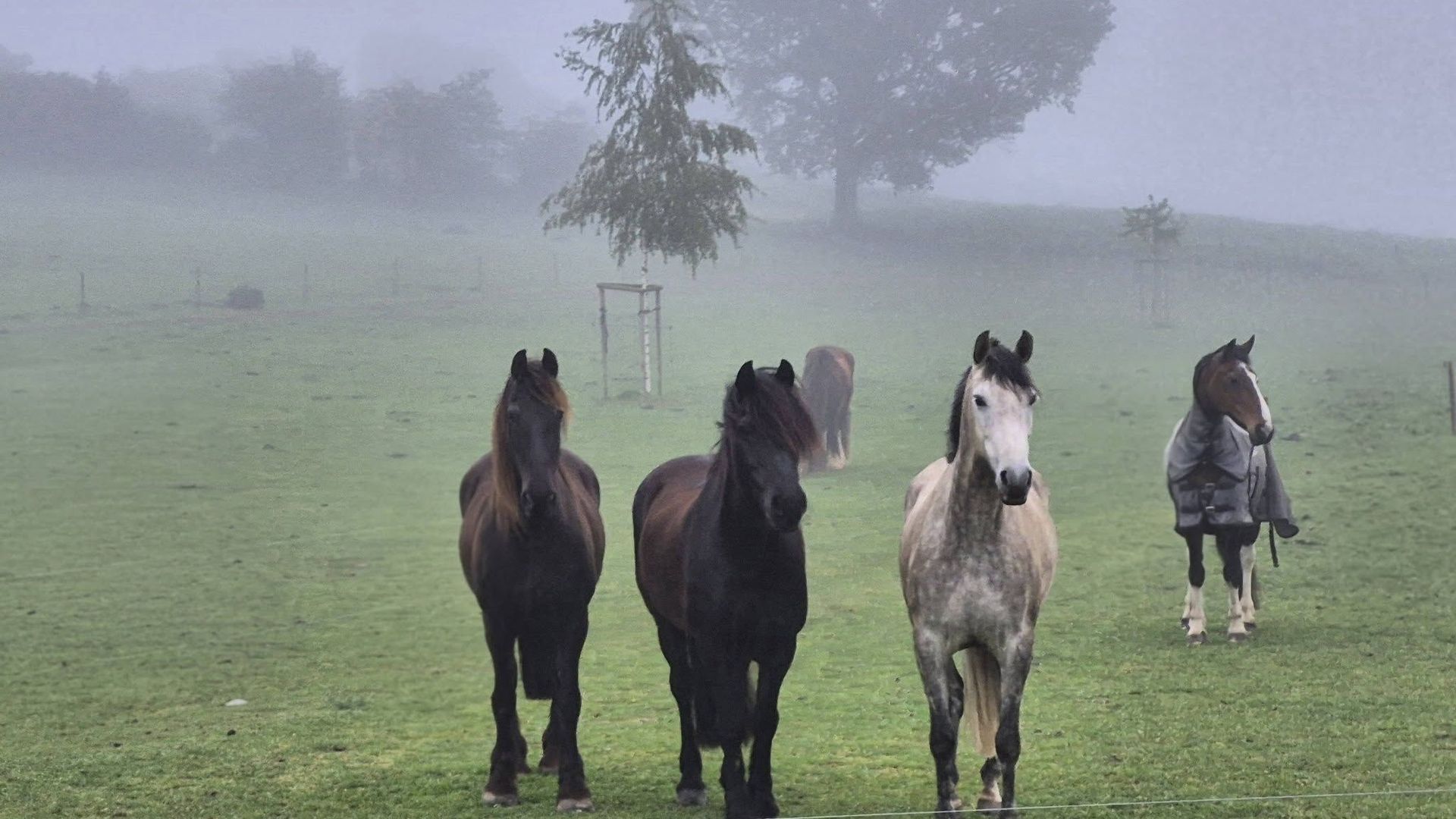 La météo en Belgique : temps pluvieux et frais