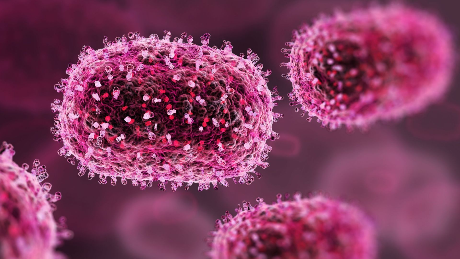 Le virus mpox en progression chez nous : les infectiologues se réunissent ce mercredi pour évaluer les risques sanitaires