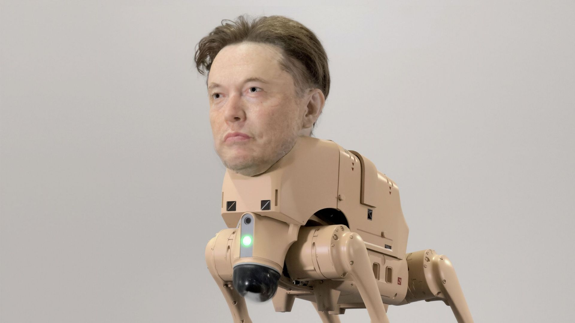 La minute insolite : un chien robot avec la tête d’Elon Musk a été aperçu dans les rues de San Francisco
