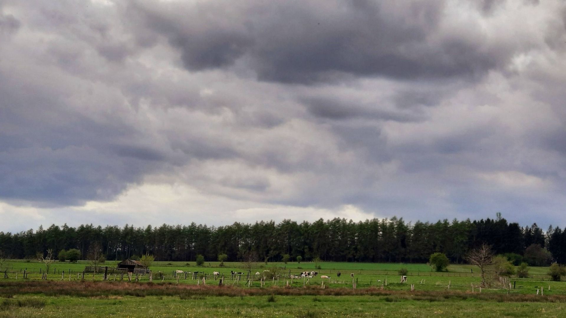 Météo en Belgique : plus de nuages et plus d'humidité ce samedi