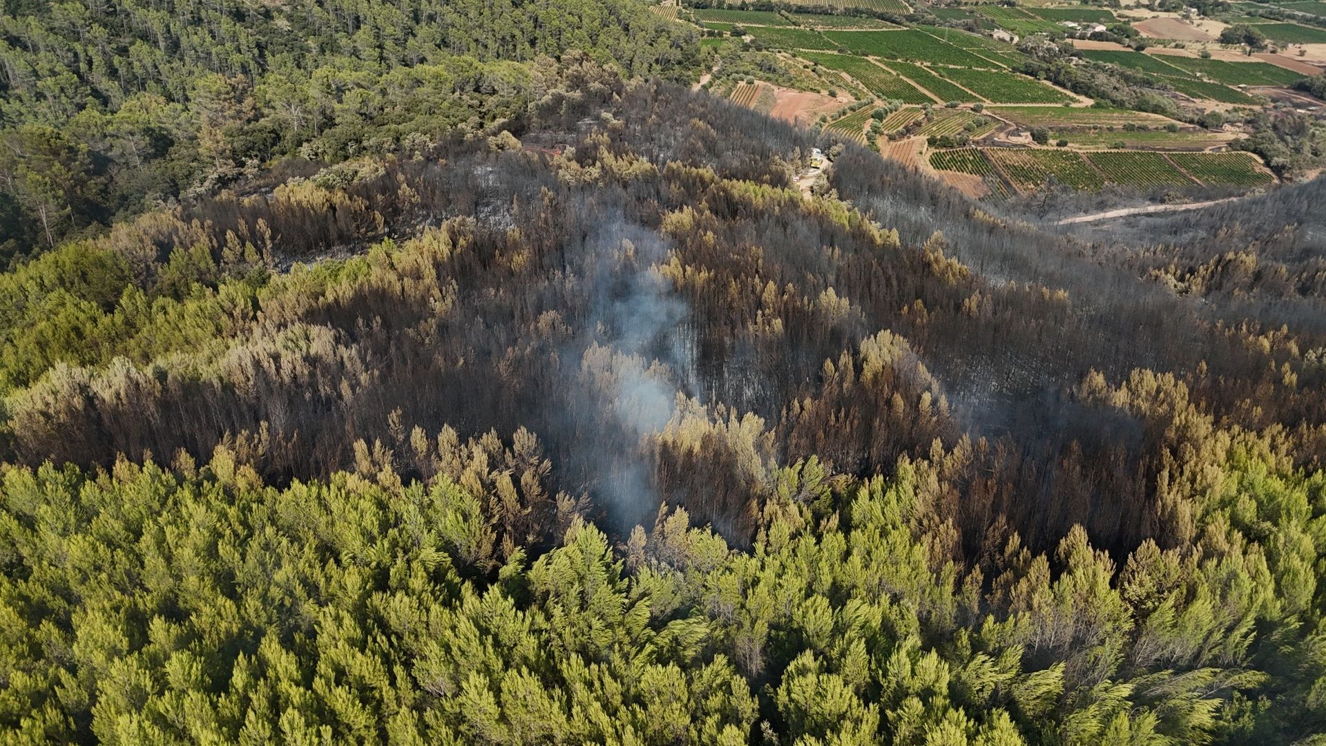 France : un incendie progresse dans le Var, plus de 2300 foyers privés d’électricité