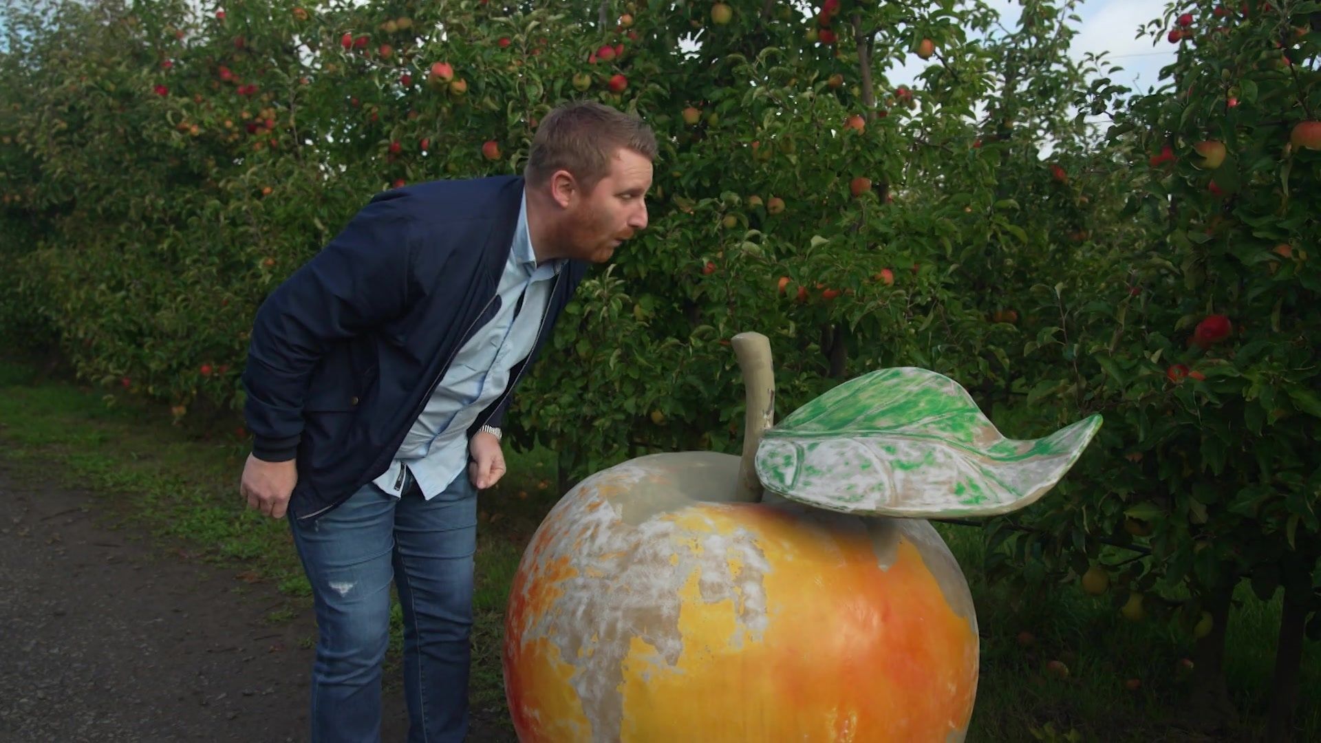 Du verger à l’assiette : à Gembloux, Julien Lapraille transforme des pommes bio en beignets gourmands