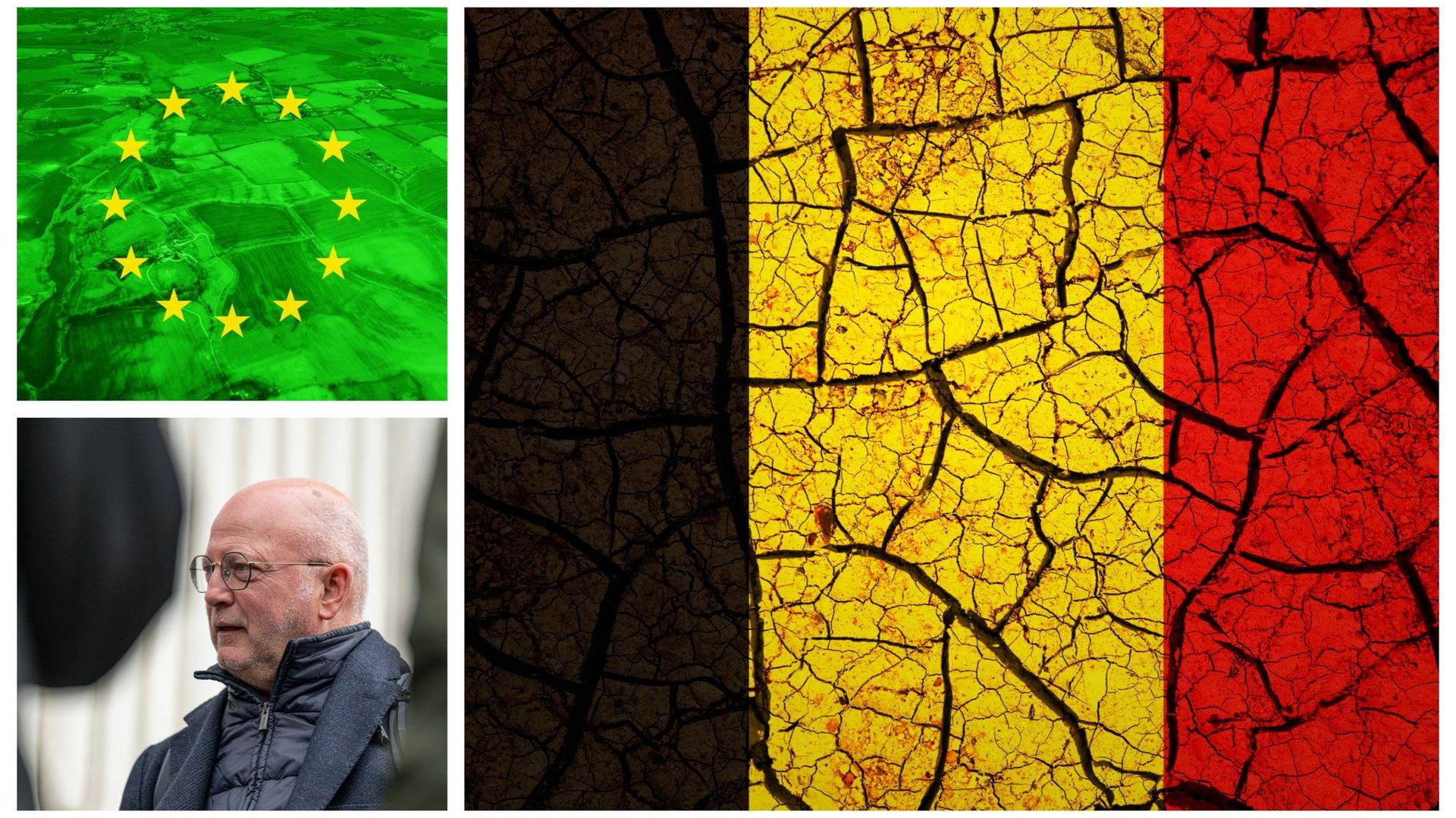 Le projet de plan belge pour restaurer la nature ne sera pas prêt à temps sa remise à l’Europe, affirme le ministre du Climat