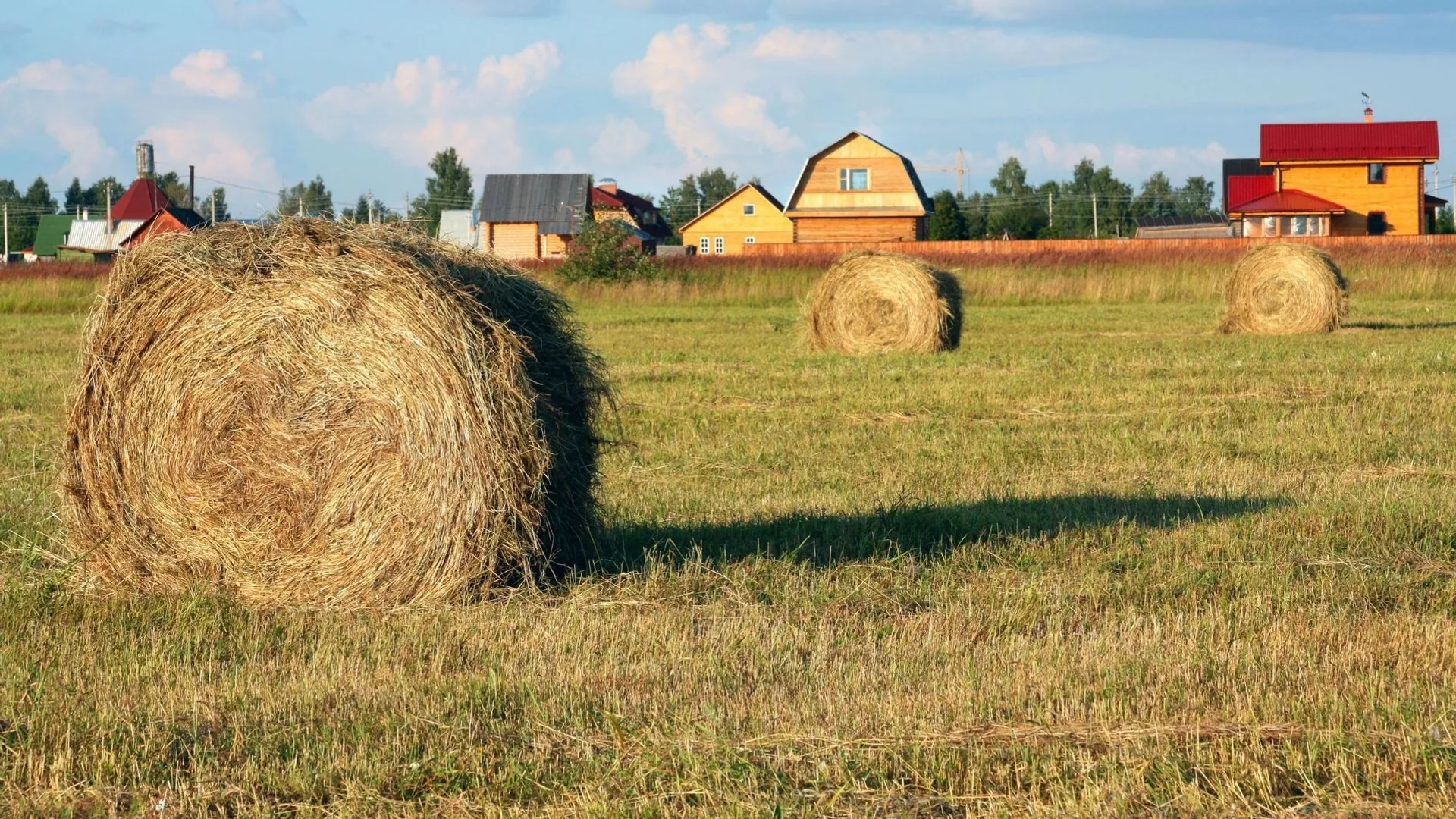 Chemin Embuches Agriculteur : un métier utile pour passionné 'déjoueur' d’embûches ...