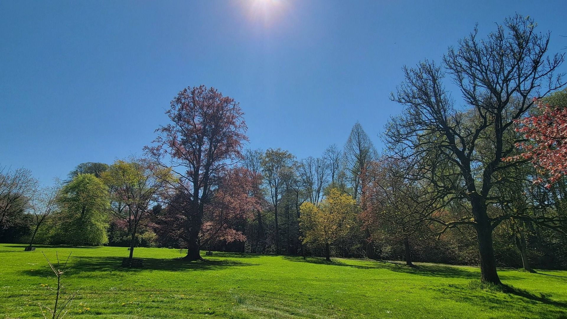 La météo en Belgique : un temps toujours très printanier et ensoleillé