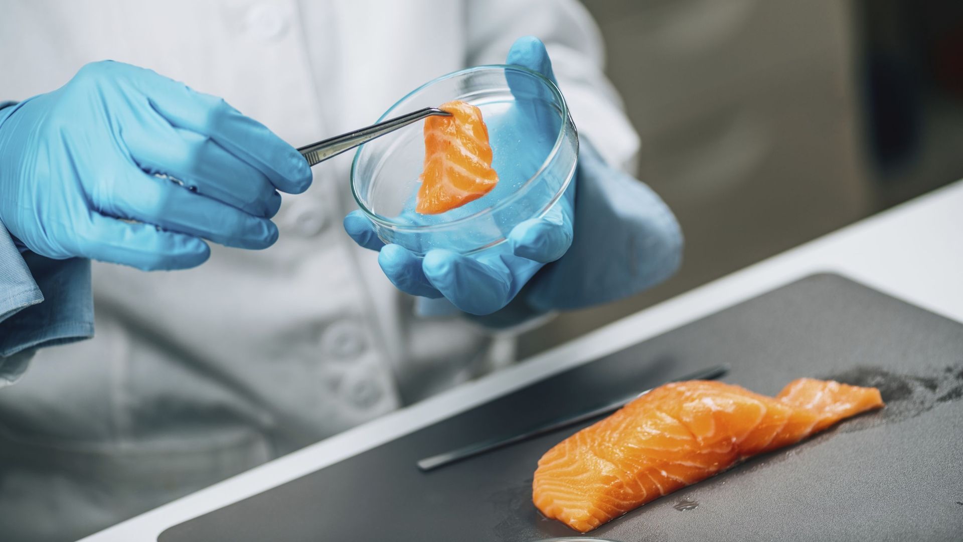 Saumon : faut-il encore en manger ? Ce que l'industrie ne vous dit pas