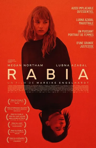 39d100b56524abde9ab86a7c298b019b-1739342537.jpg?webp=1