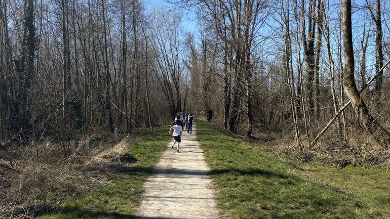 Les 18 marches Adeps du dimanche 11 octobre en Wallonie