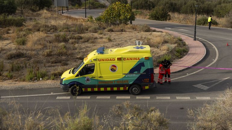 Au moins un Belge aurait perdu la vie dans les incendies en Andalousie