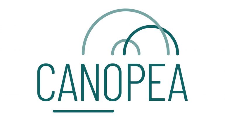 Les employés de Canopea au chômage économique
