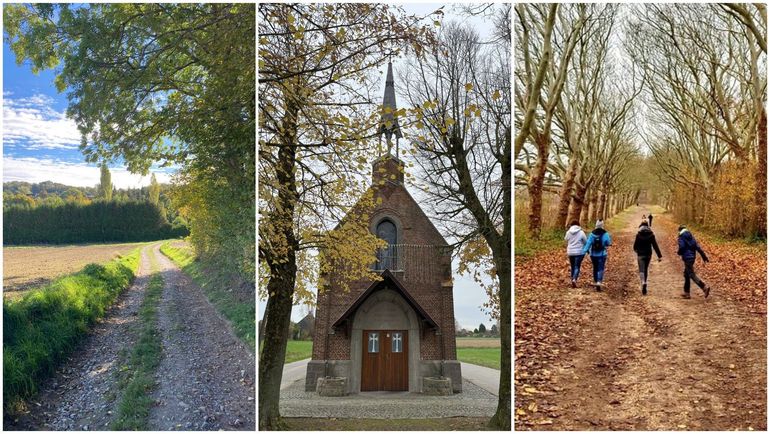 Les 9 marches Adeps du dimanche 30 novembre en Wallonie Les 9 marches Adeps du dimanche 30 novembre en Wallonie