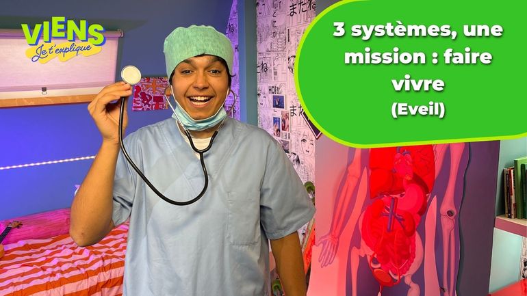 Trois systèmes essentiels dans le corps humain : petite consultation et quiz dans Viens, je t'explique