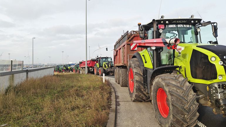 Grogne du monde agricole : plusieurs actions des agriculteurs en Flandre contre l'accord UE - Mercosur