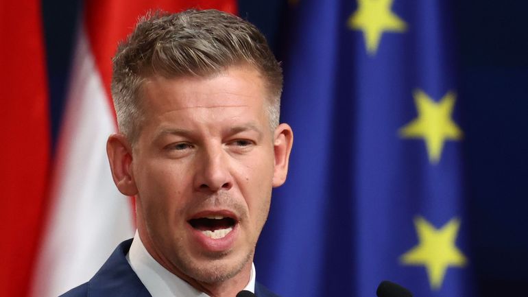 Soutien à l'Ukraine, budget de l'Union européenne, migration, état de droit : vers où Peter Magyar emmène-t-il la Hongrie ?